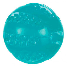 Dentafun Bola Em Borracha 6 Cm